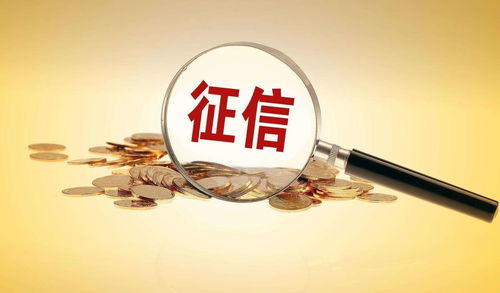 個(gè)人信用查詢指南及經(jīng)濟(jì)信息咨詢服務(wù)詳解
